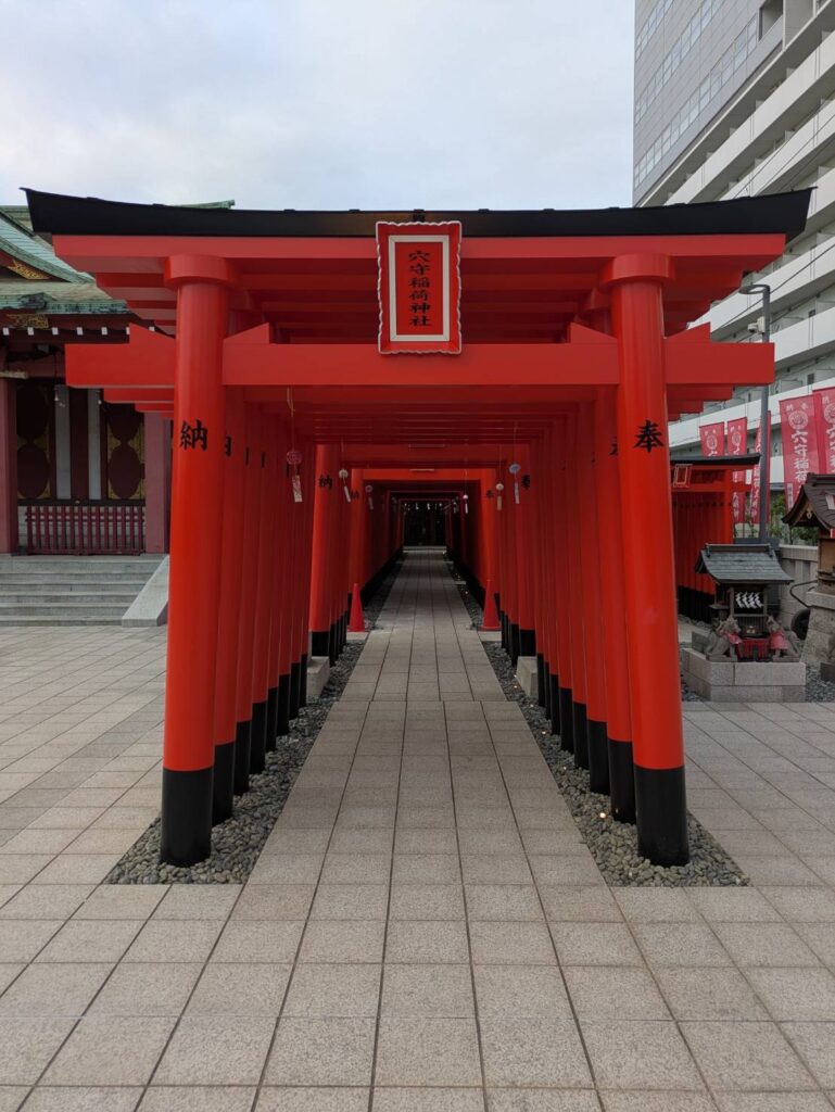 現在の画像に代替テキストがありません。ファイル名: IMG_8831.jpg